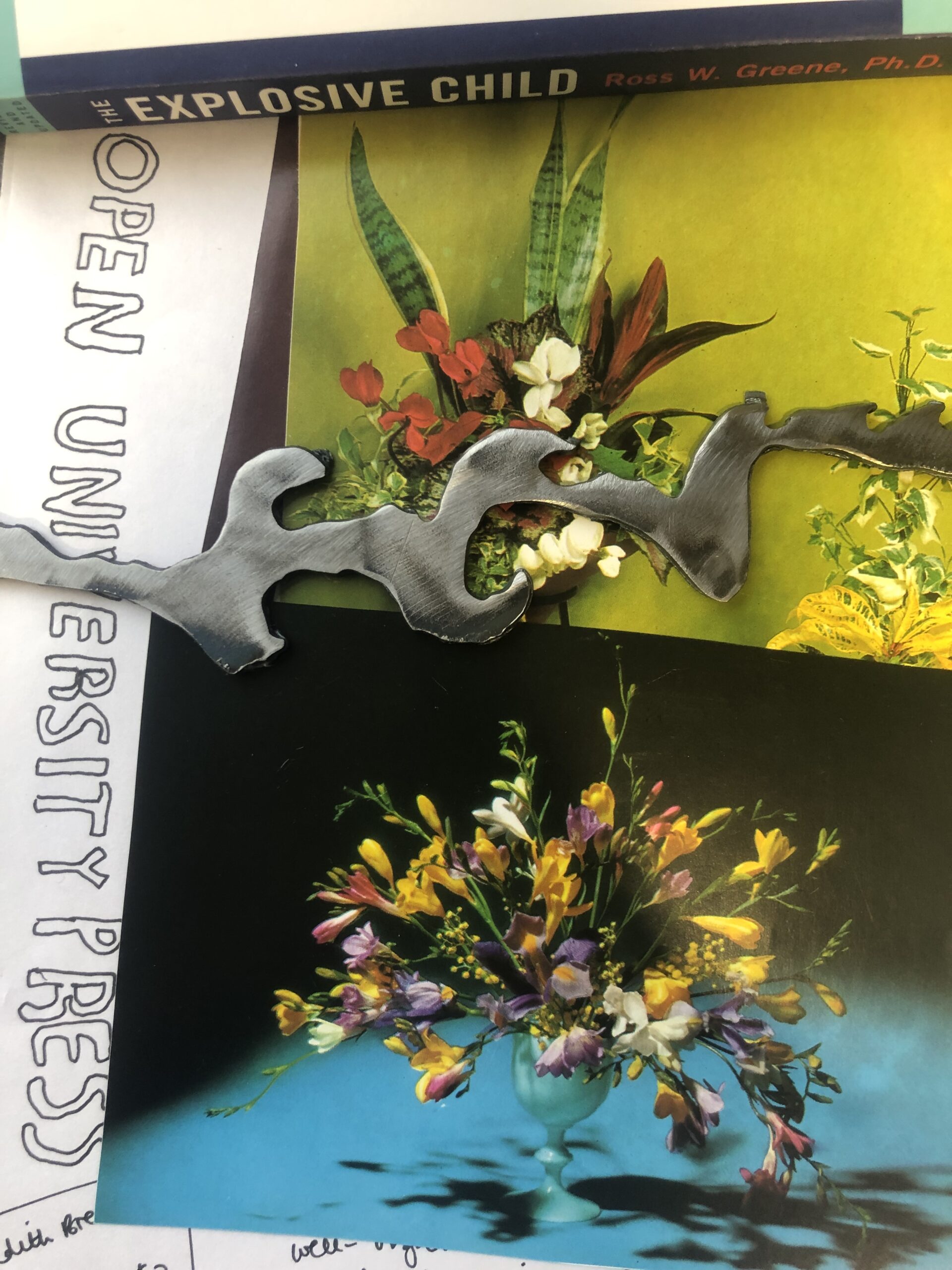 two images of bunches of flowers lie underneath aa squiggly steel metal cutout, the spine of a book reading the Explosive Child sits at the top of the image and the words open university press is written on the left in bubble writing