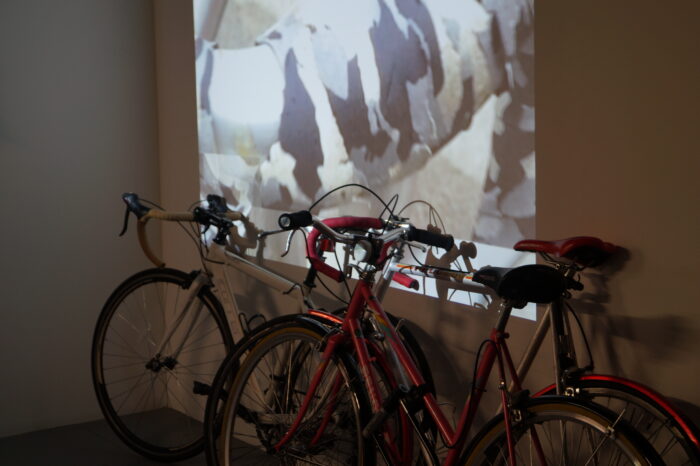 A row of two road bikes leaning against a white wall with an image projected onto it