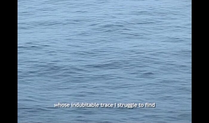 Film still showing image of gentle ocean waves filling entire screen, with white captions reading "whose indubitable trace I struggle to find"

Film still from 'Édouard Glissant: One World in Relation' (trailer) Manthia Diawara, 2010.